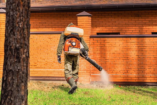 Trusted Cockroach Control service in San Tan Valley, AZ - Nex Pest Control